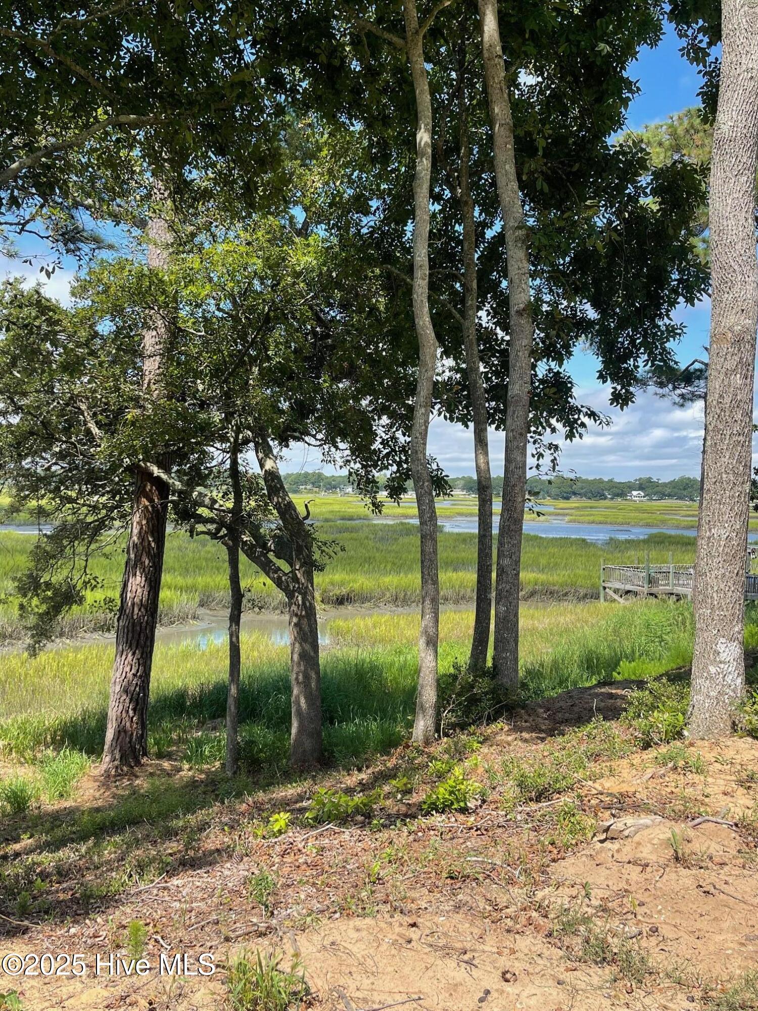 1895 Russell Hewett Road Southwest Supply, NC 28462 - Photo 21 of 27 IMG_4777