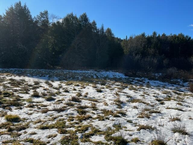 L5.12 North Harpersfield Road Jefferson, NY 12093 - Photo 12 of 26 IMG_4948