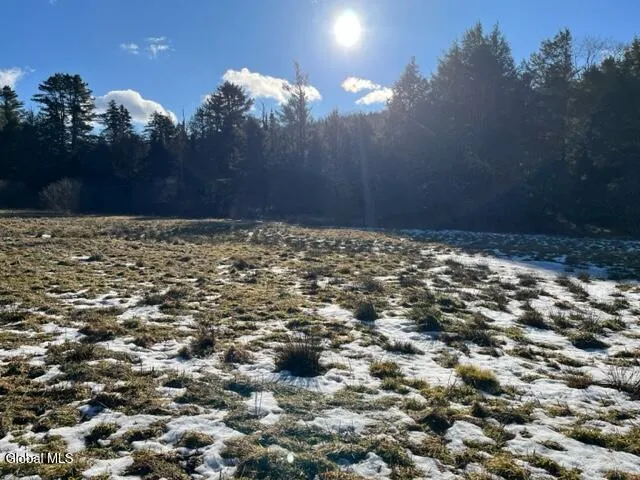 $129,000 | L5.12 North Harpersfield Road, Jefferson, NY 12093