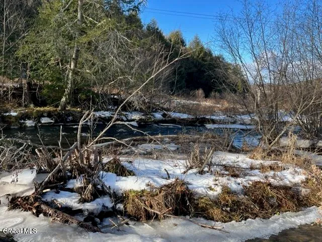 $129,000 | L5.12 North Harpersfield Road, Jefferson, NY 12093