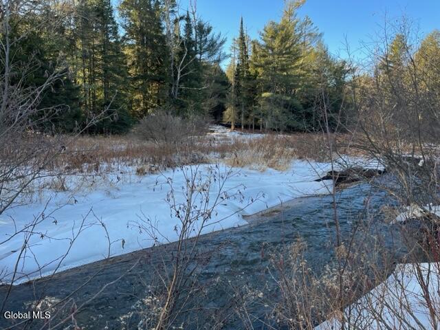 L5.12 North Harpersfield Road Jefferson, NY 12093 - Photo 19 of 26 IMG_4955