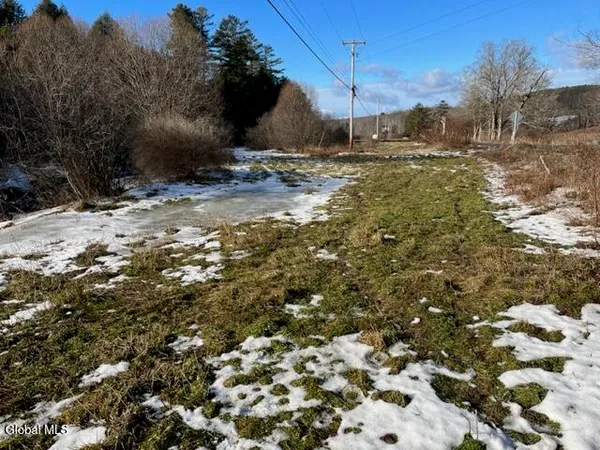 $129,000 | L5.12 North Harpersfield Road, Jefferson, NY 12093