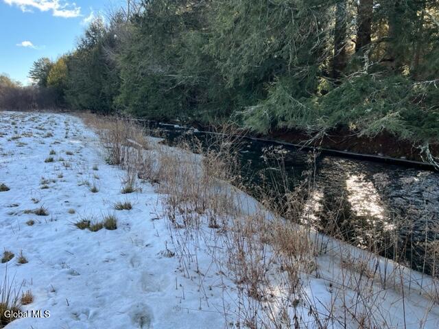 L5.12 North Harpersfield Road Jefferson, NY 12093 - Photo 21 of 26 IMG_4956