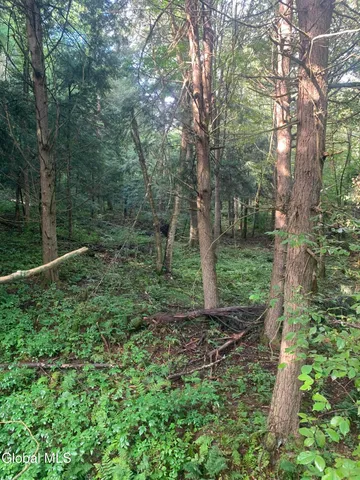 $129,000 | L5.12 North Harpersfield Road, Jefferson, NY 12093