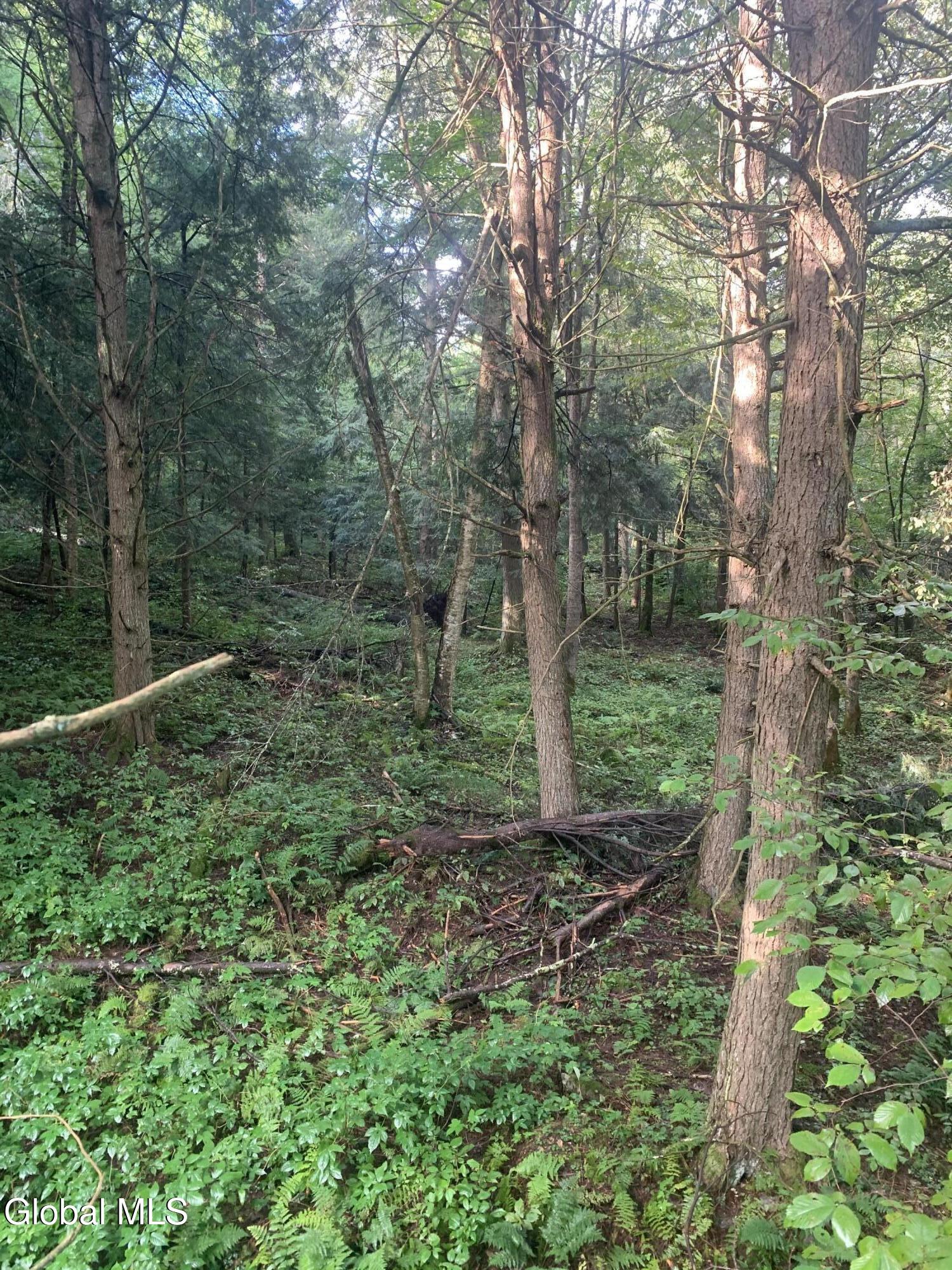 L5.12 North Harpersfield Road Jefferson, NY 12093 - Photo 23 of 26 IMG_9934 - Copy