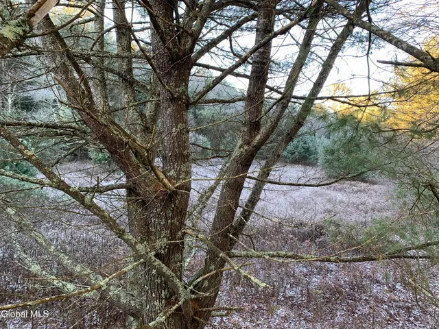 $129,000 | L5.12 North Harpersfield Road, Jefferson, NY 12093