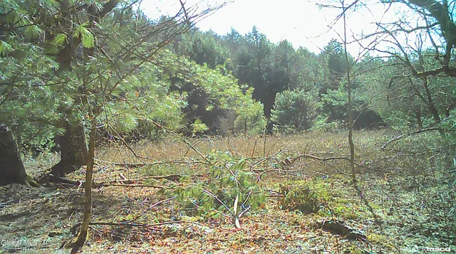 $129,000 | L5.12 North Harpersfield Road, Jefferson, NY 12093