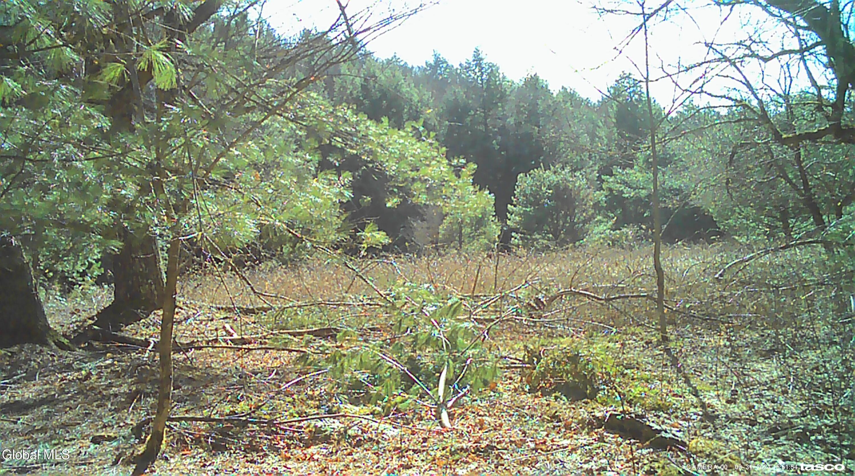 L5.12 North Harpersfield Road Jefferson, NY 12093 - Photo 25 of 26 00000593