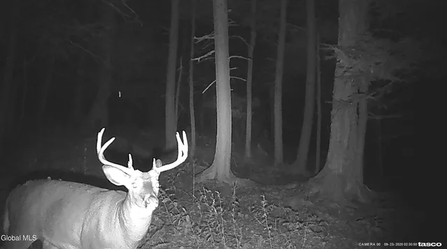 $129,000 | L5.12 North Harpersfield Road, Jefferson, NY 12093