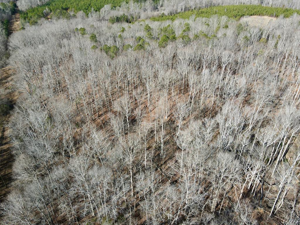 0 Neely Ferry Road Gray Court, SC 29645 - Photo 23 of 23 Gallery Image 23