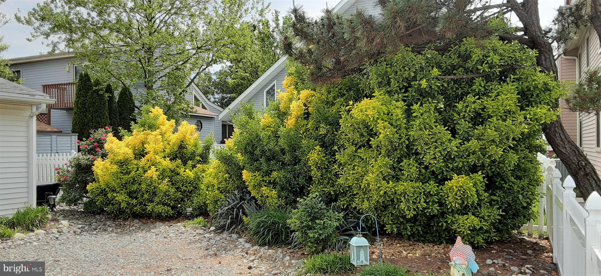 617 Twin Tree Road Ocean City, MD 21842 - Photo 21 of 71 Gallery Image 21