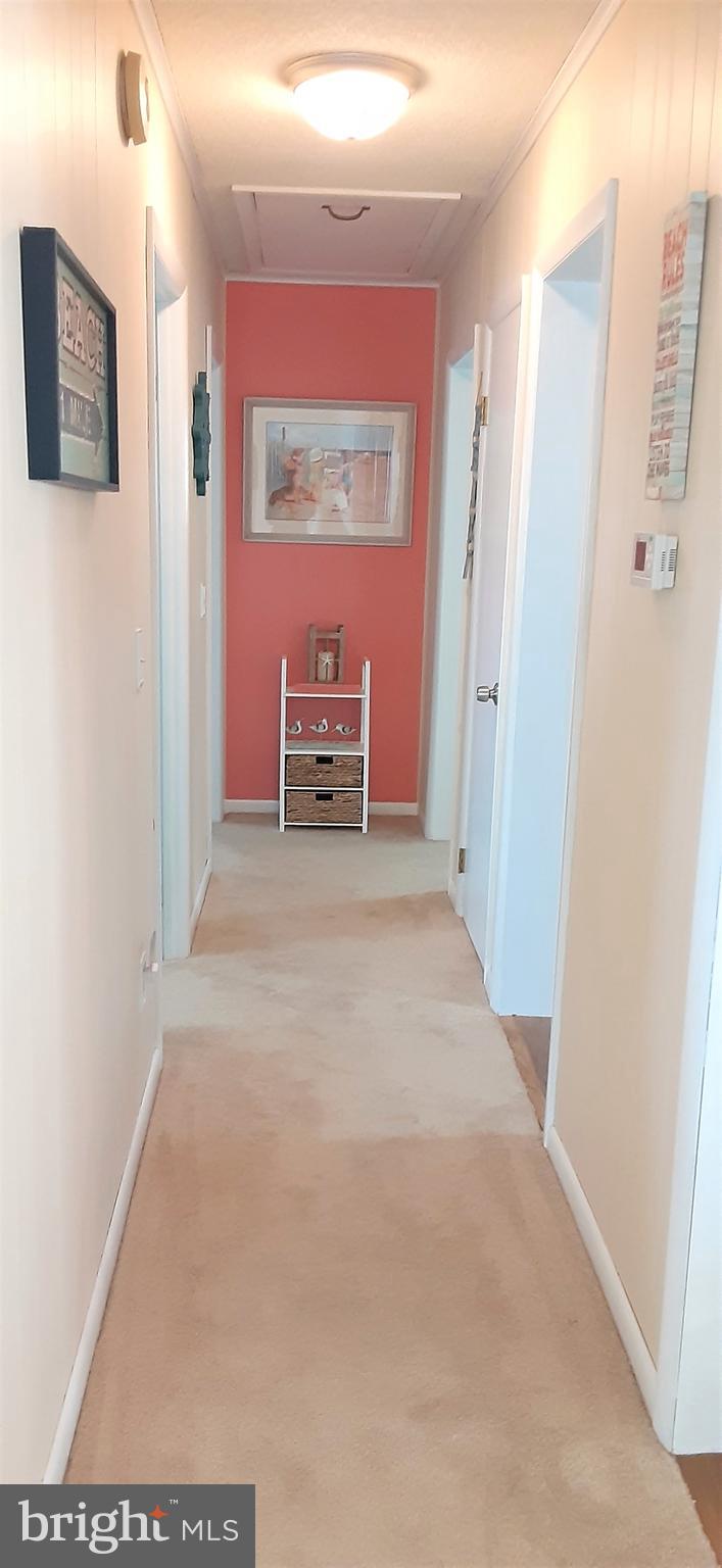 617 Twin Tree Road Ocean City, MD 21842 - Photo 61 of 71 Gallery Image 61
