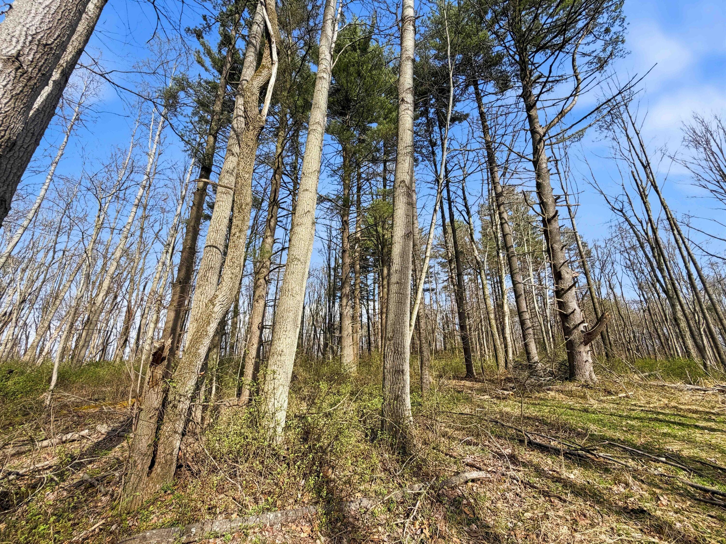 22470 Griffith Road Logan, OH 43138 - Photo 27 of 29 Griffith Rd-27