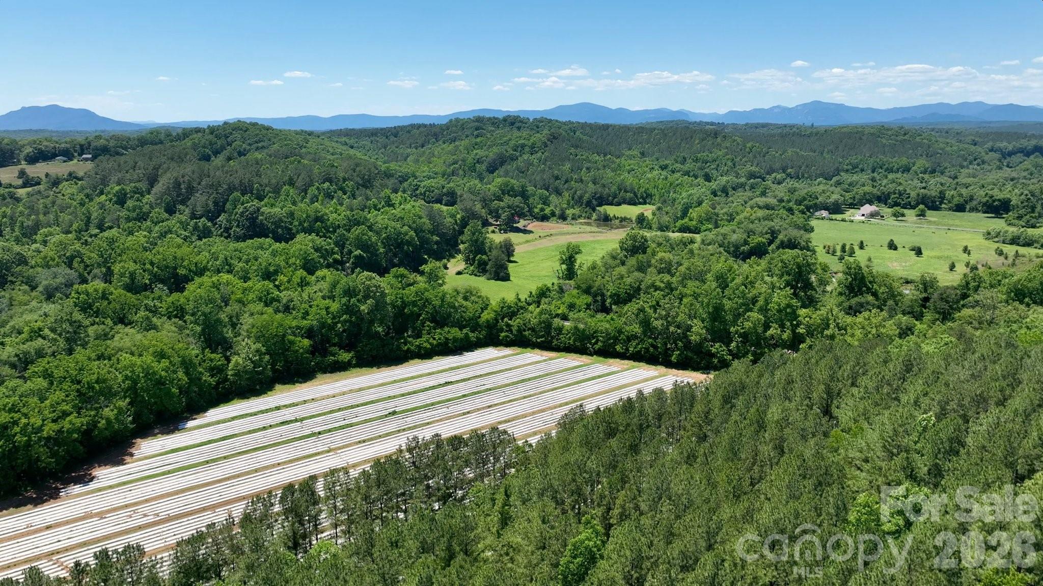 99999 Tryon Road Rutherfordton, NC 28139 - Photo 17 of 25
