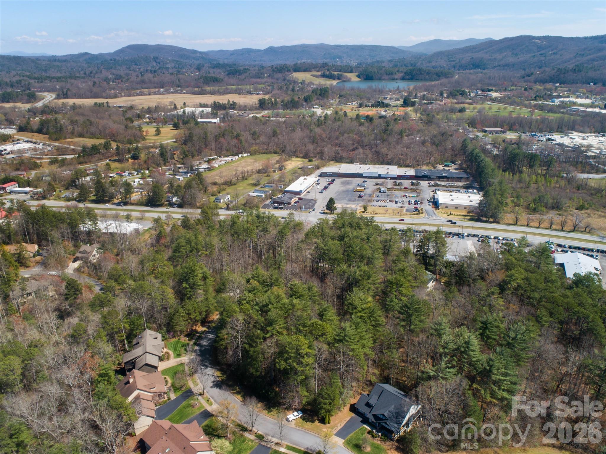 0 Camptown Road Brevard, NC 28712 - Photo 17 of 19