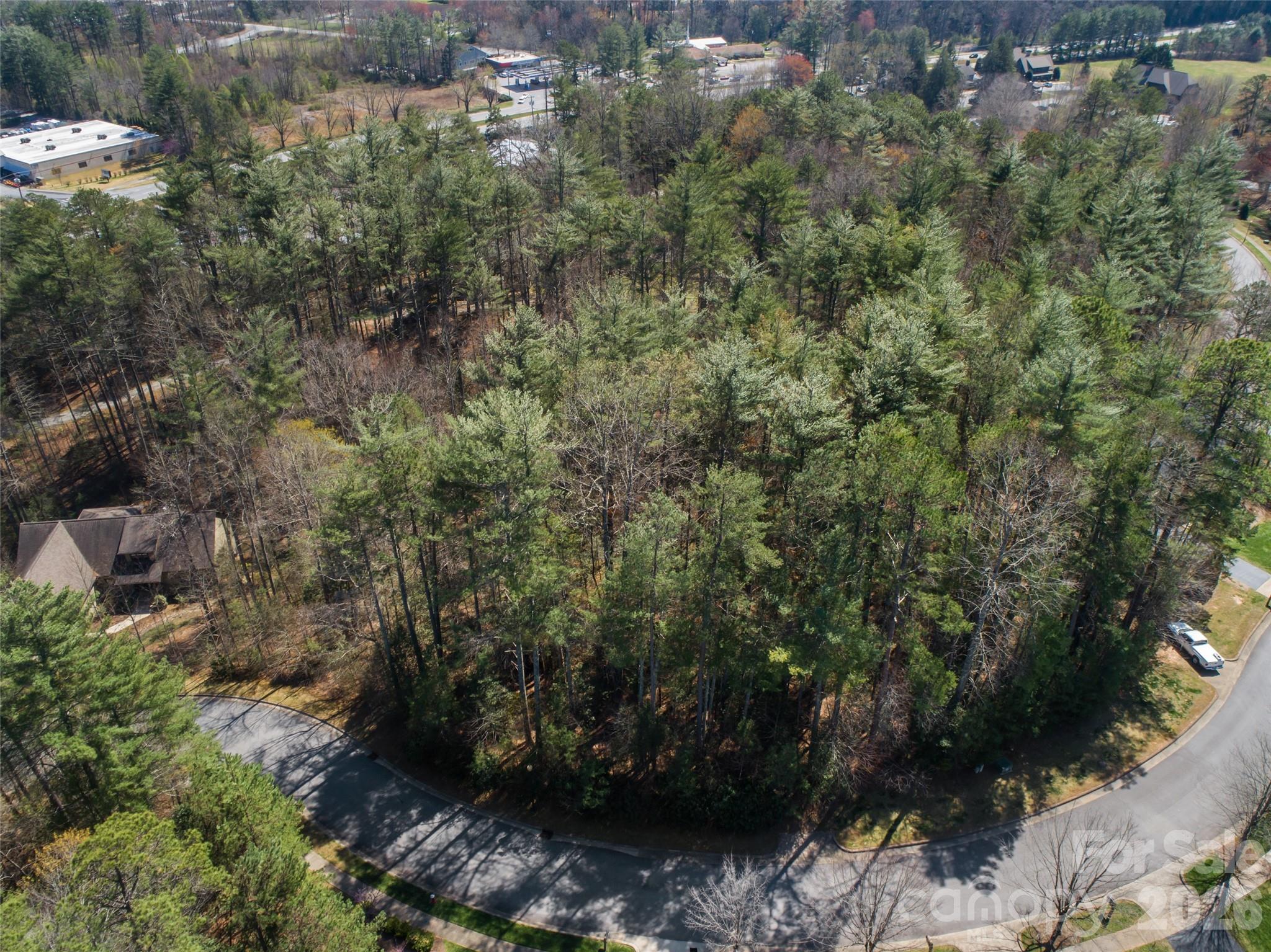 0 Camptown Road Brevard, NC 28712 - Photo 18 of 19