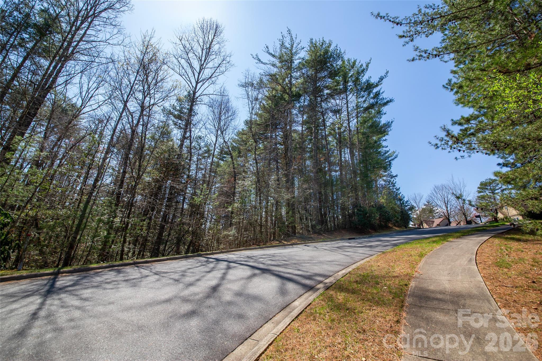 0 Camptown Road Brevard, NC 28712 - Photo 4 of 19