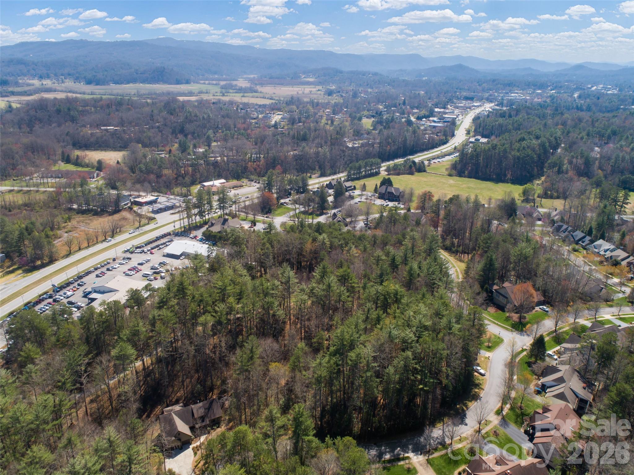 0 Camptown Road Brevard, NC 28712 - Photo 6 of 19