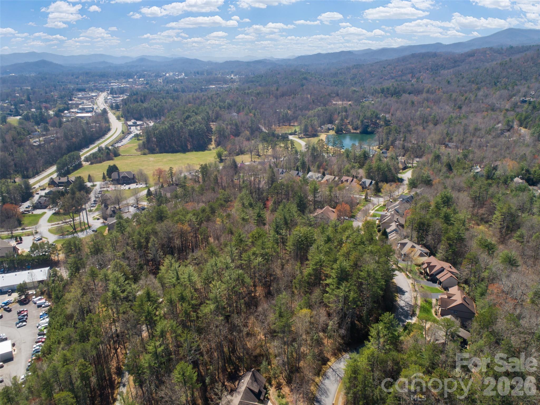 0 Camptown Road Brevard, NC 28712 - Photo 8 of 19