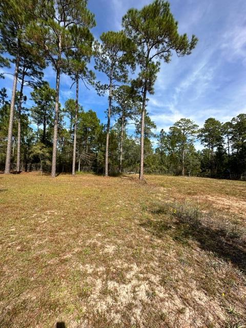 60 Magnolia Court Freeport, FL 32439 - Photo 26 of 29 a backyard of a house with lots of green space