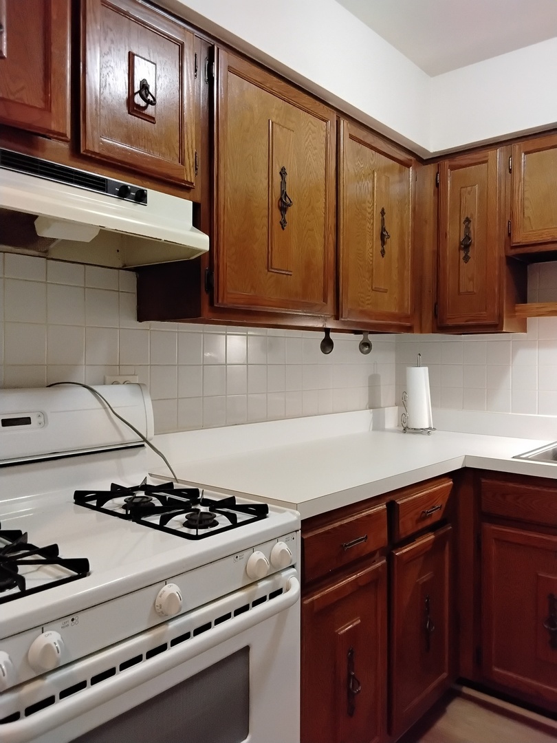 12721 Park Place, Unit 2B Crestwood, IL 60418 - Photo 5 of 12 a kitchen with a stove and a sink