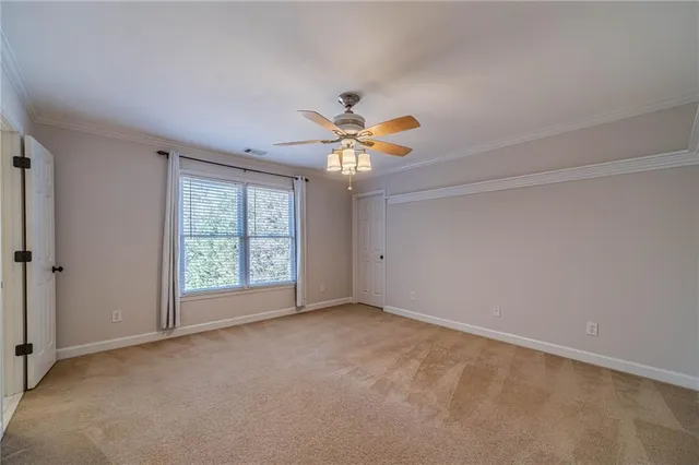 a view of a backyard with plants and large trees