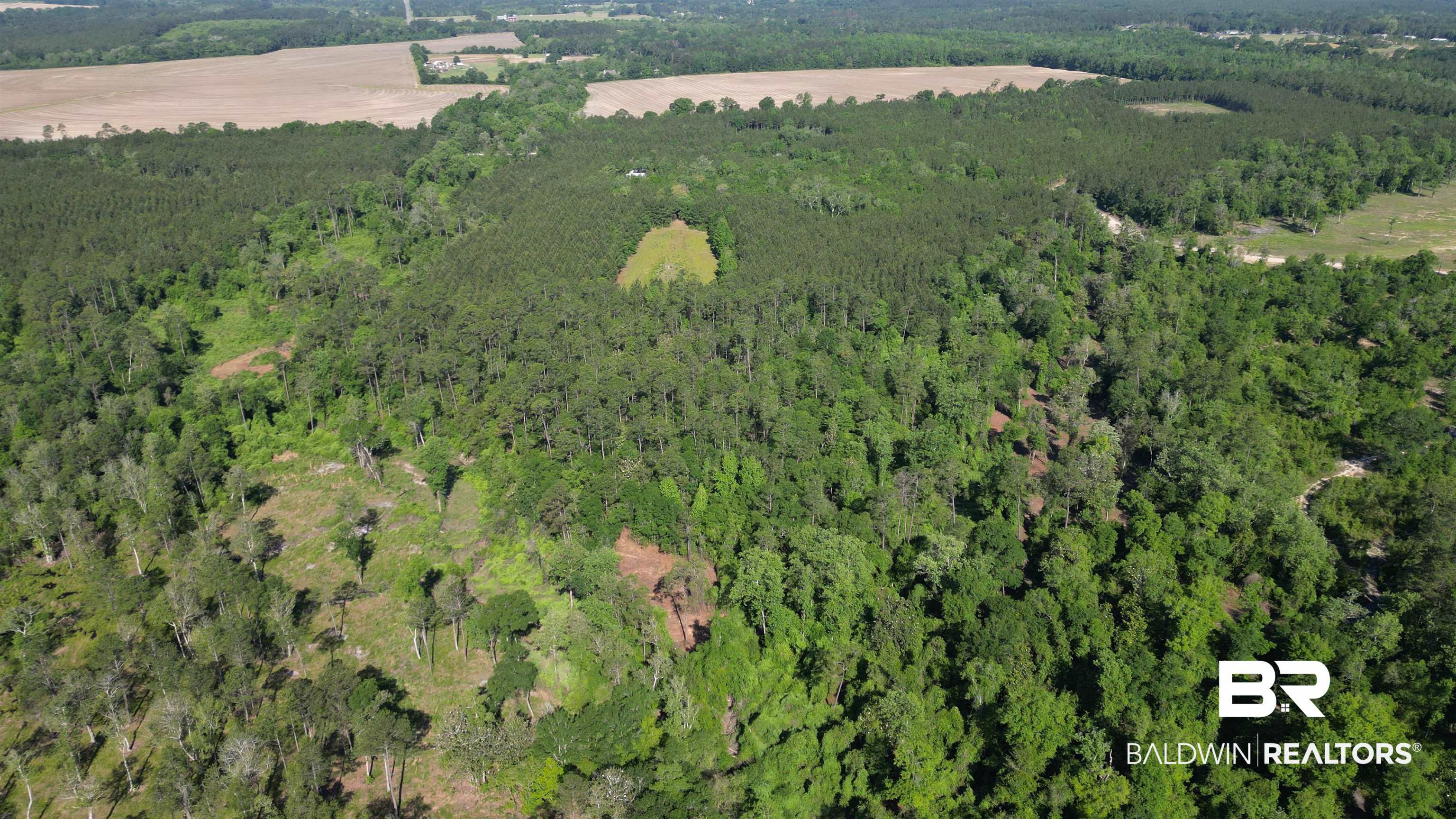 0 Lechner Road Robertsdale, AL 36567 - Photo 7 of 35 Aerial view of property's location featuring a heavily wooded area