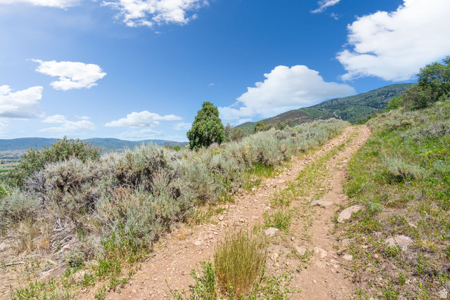 2459 Painter Road Marion, UT 84036 - Photo 17 of 42 Unpaved trail ascending a natural hillside featuring native grasses and distant mountain peaks