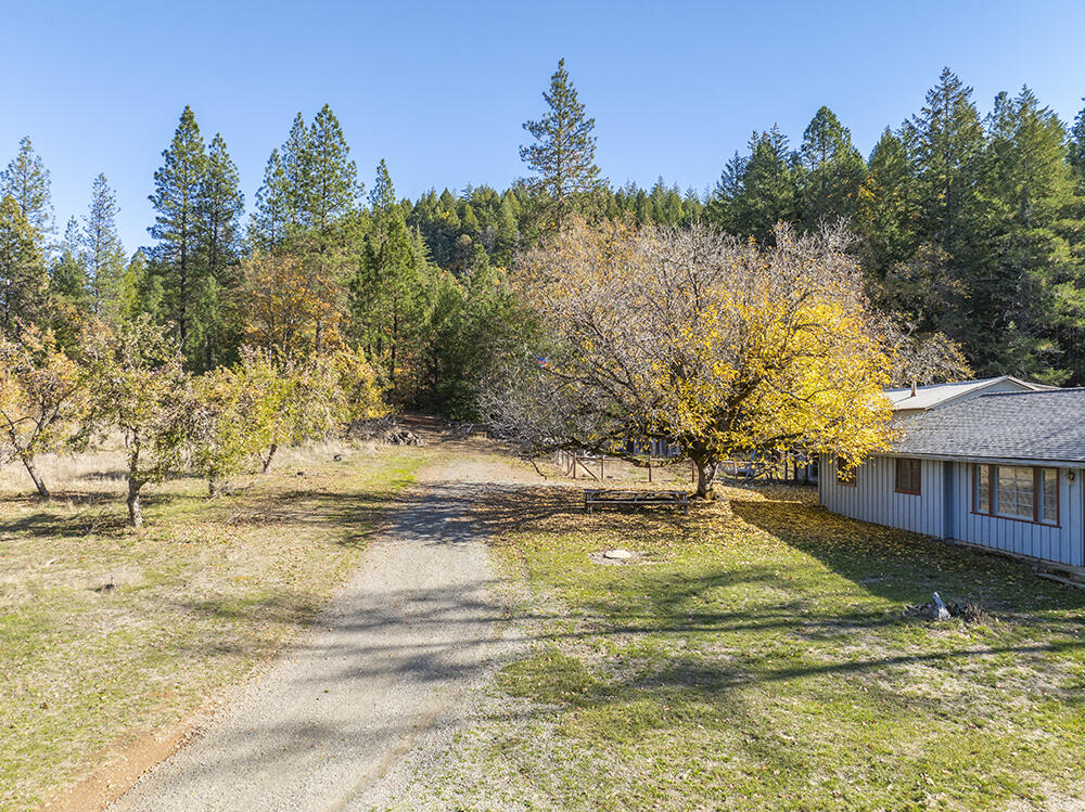 1263 Waldo Road Cave Junction, OR 97523 - Photo 53 of 82 44