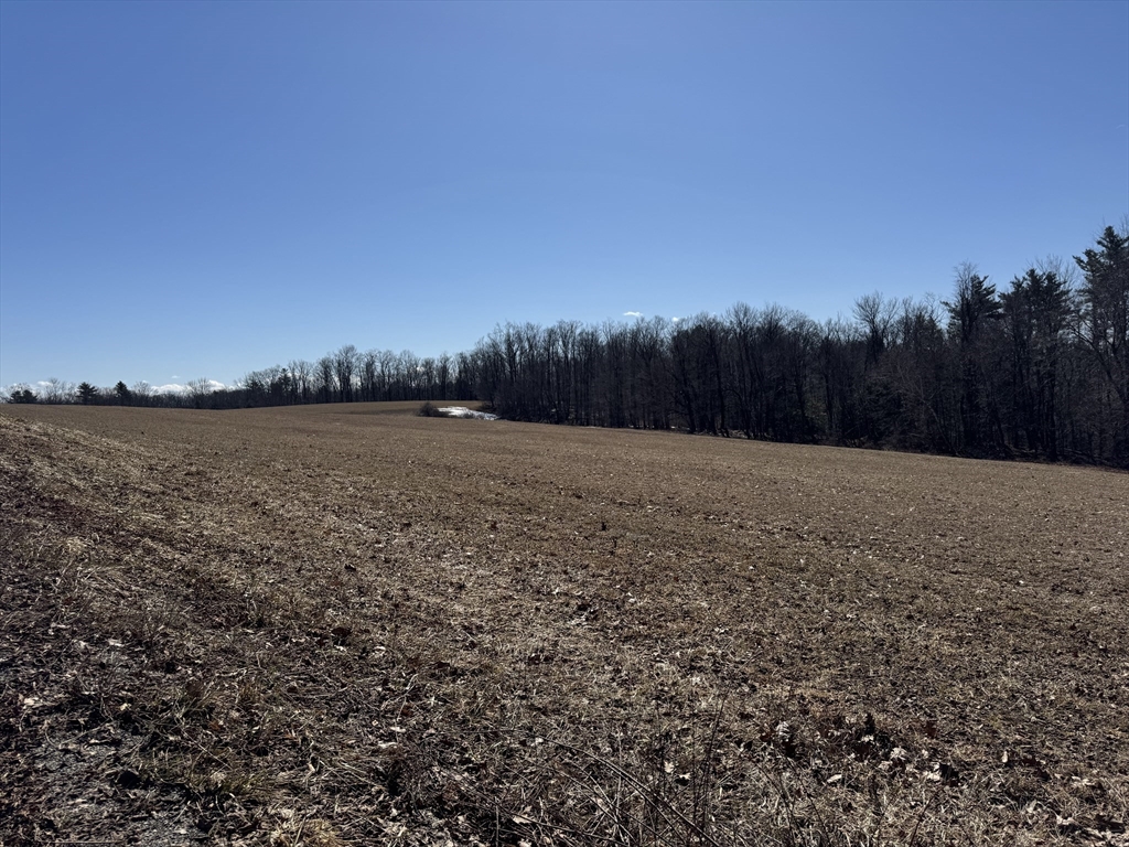 0 Frizzell Hill Road Leyden, MA 01337 - Photo 6 of 10