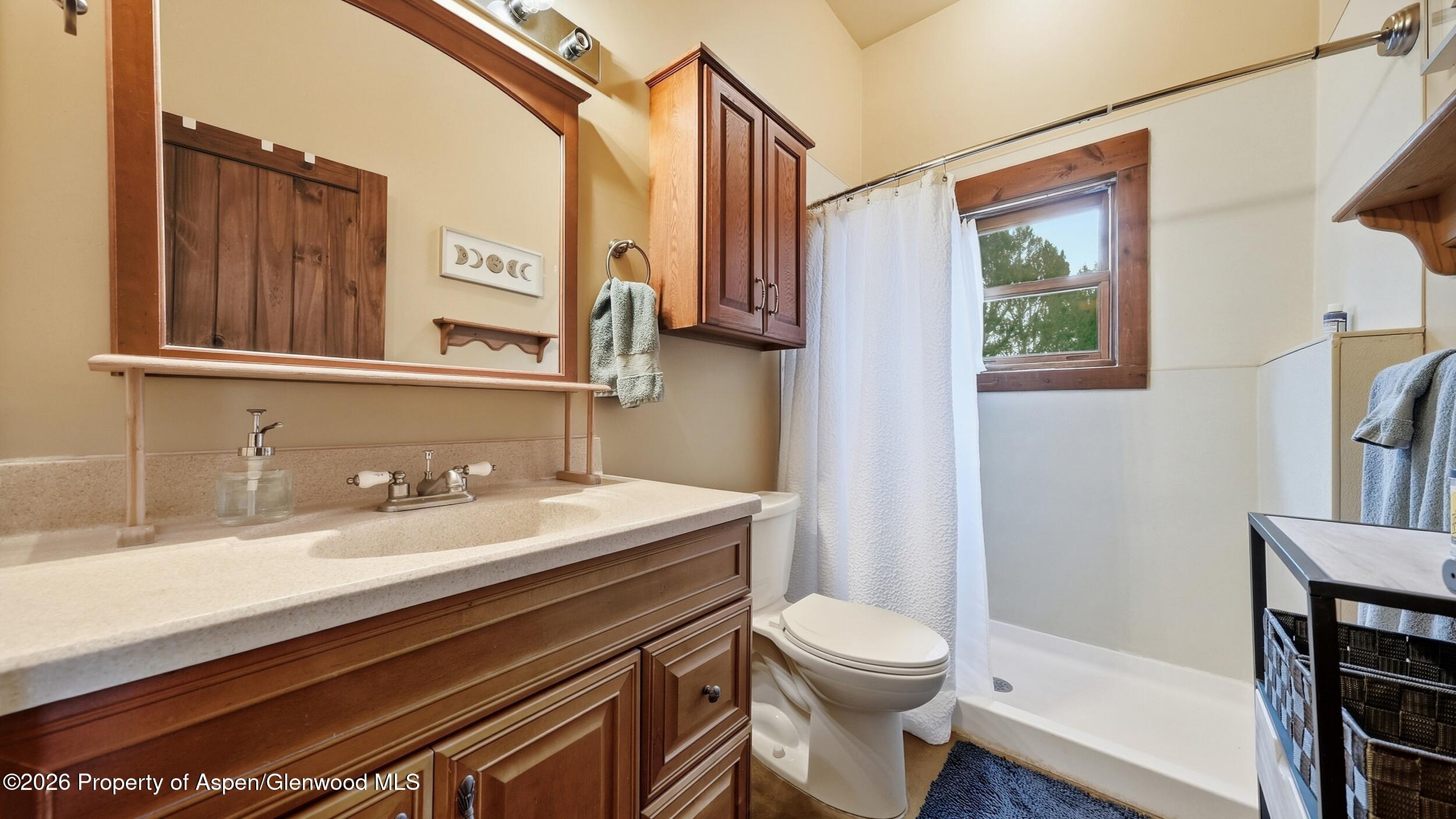 420 Mjn Road Carbondale, CO 81623 - Photo 50 of 63 54_dsc04314