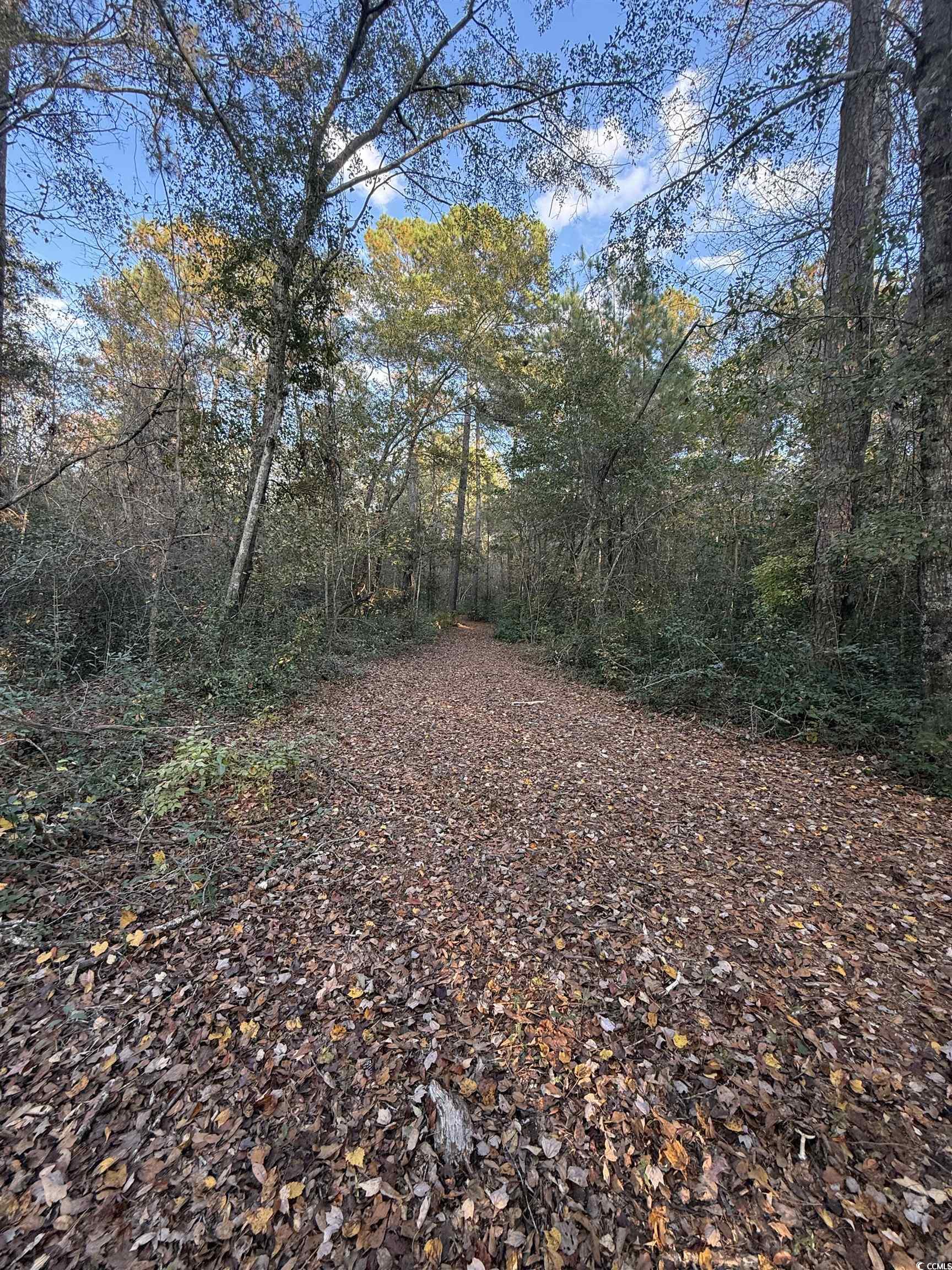 Tbd Salem Road Aynor, SC 29511 - Photo 12 of 19