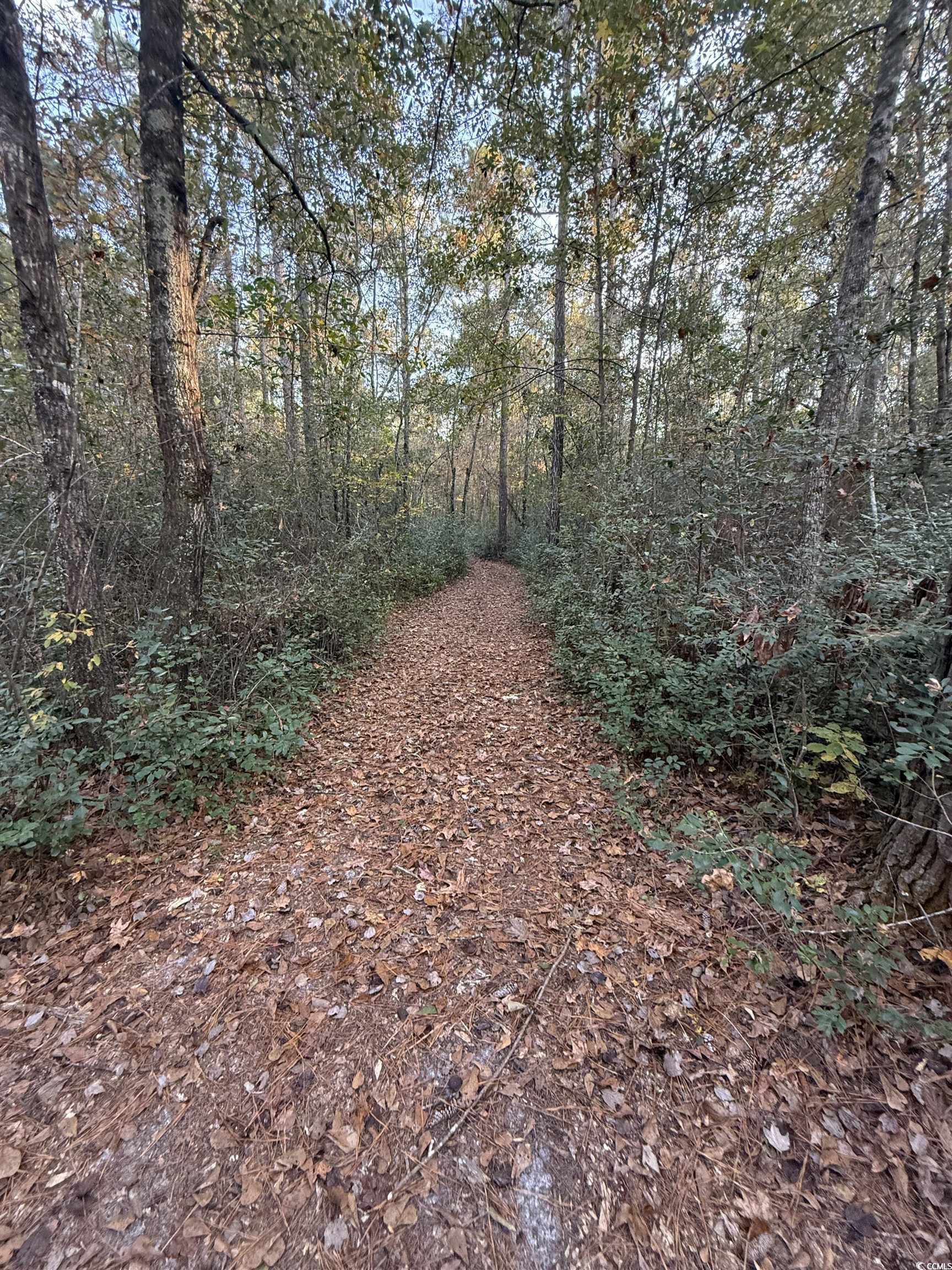 Tbd Salem Road Aynor, SC 29511 - Photo 13 of 19
