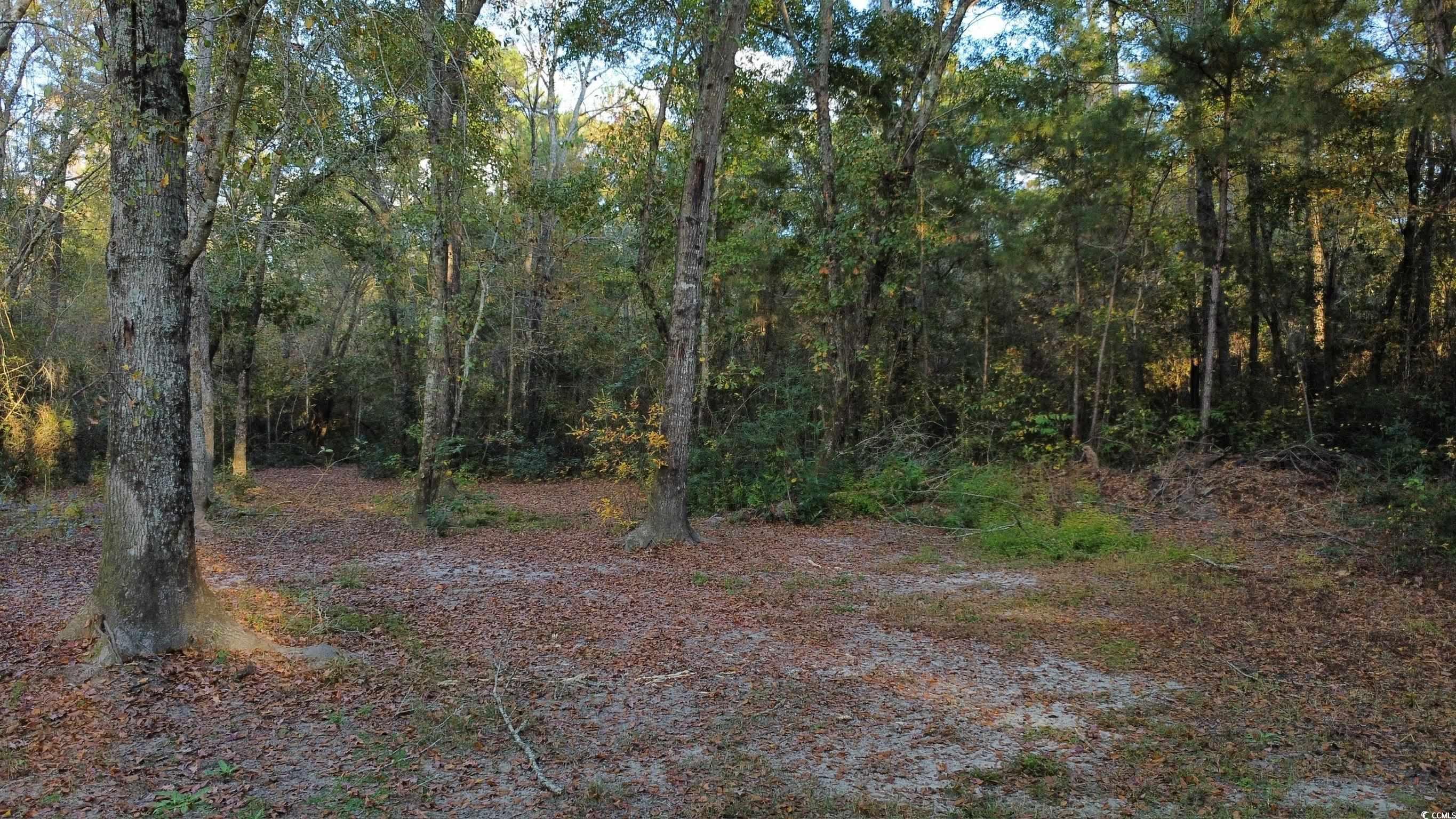 Tbd Salem Road Aynor, SC 29511 - Photo 2 of 19