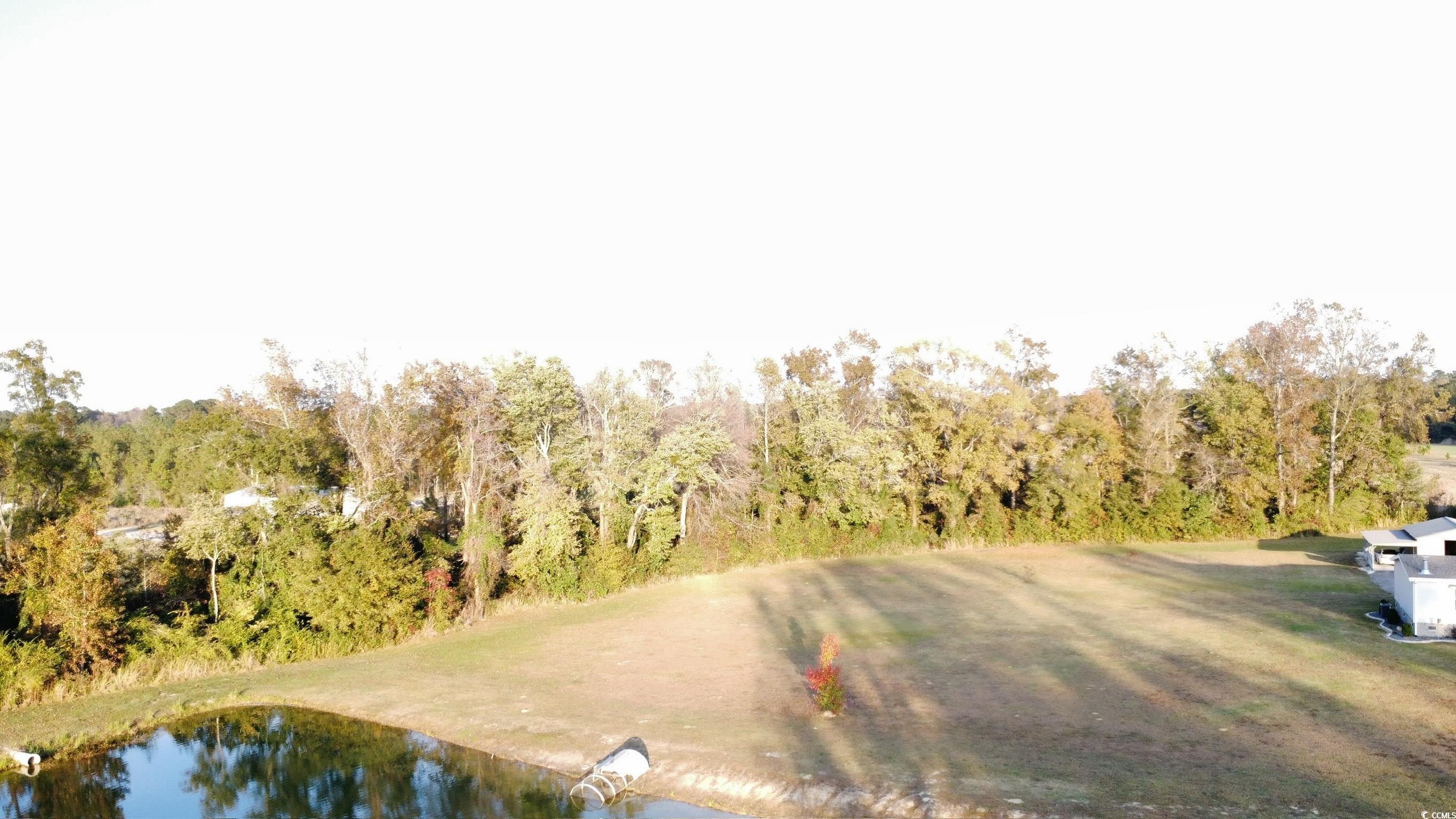 Tbd Salem Road Aynor, SC 29511 - Photo 3 of 19