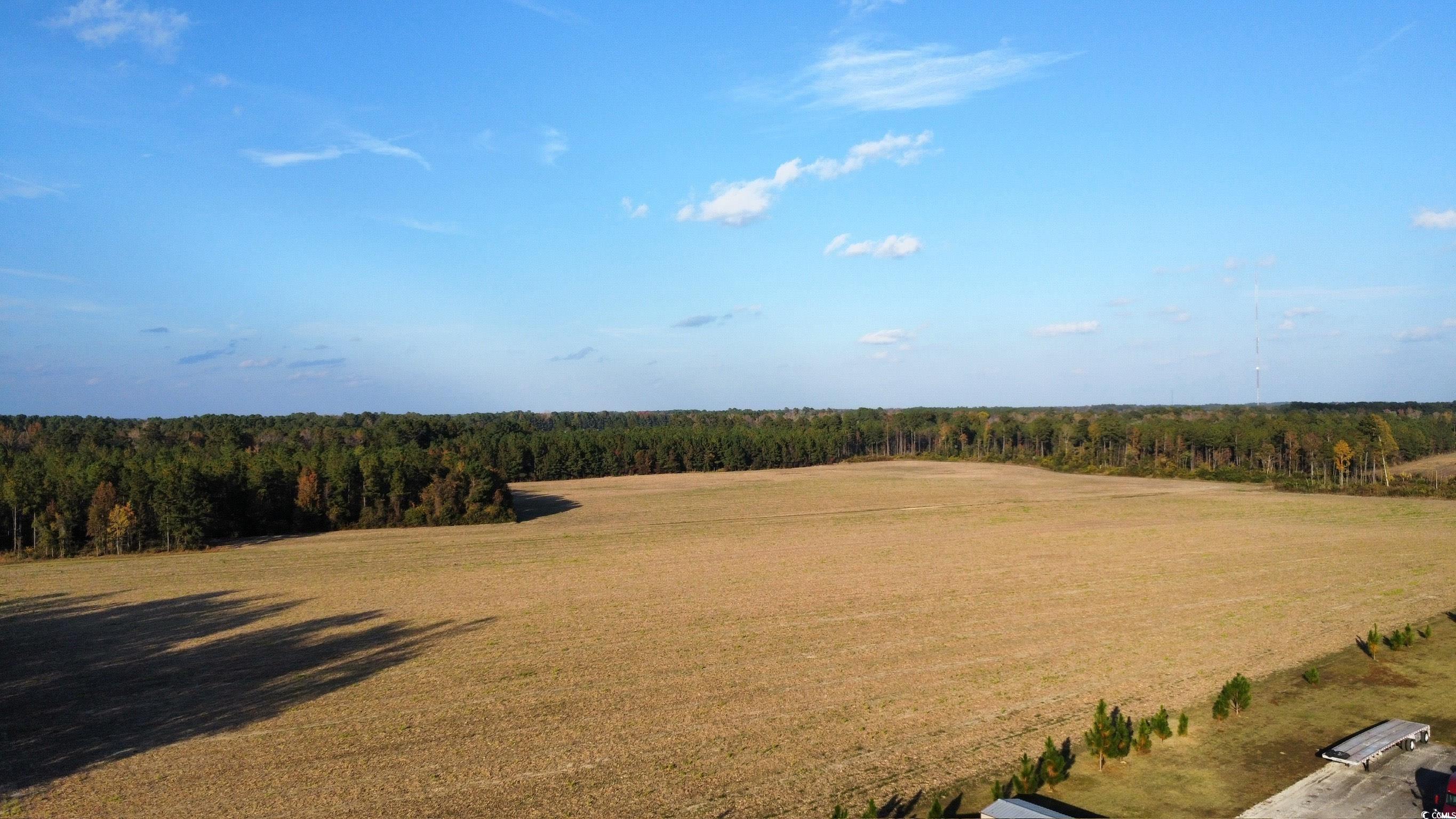 Tbd Salem Road Aynor, SC 29511 - Photo 8 of 19