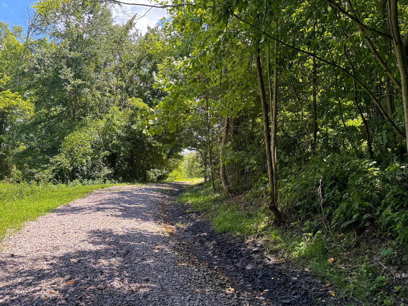 4313 Flint Ridge Road Northeast, Unit INT RIDGE TRACT 18 ACRE) Crooksville, OH 43731 - Photo 10 of 53 CT-10