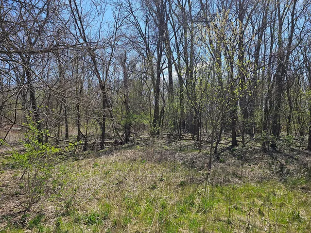 $14,900 | Webber Street, Ionia, MI 48846