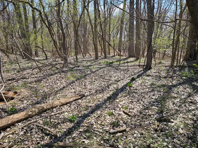 $14,900 | Webber Street, Ionia, MI 48846