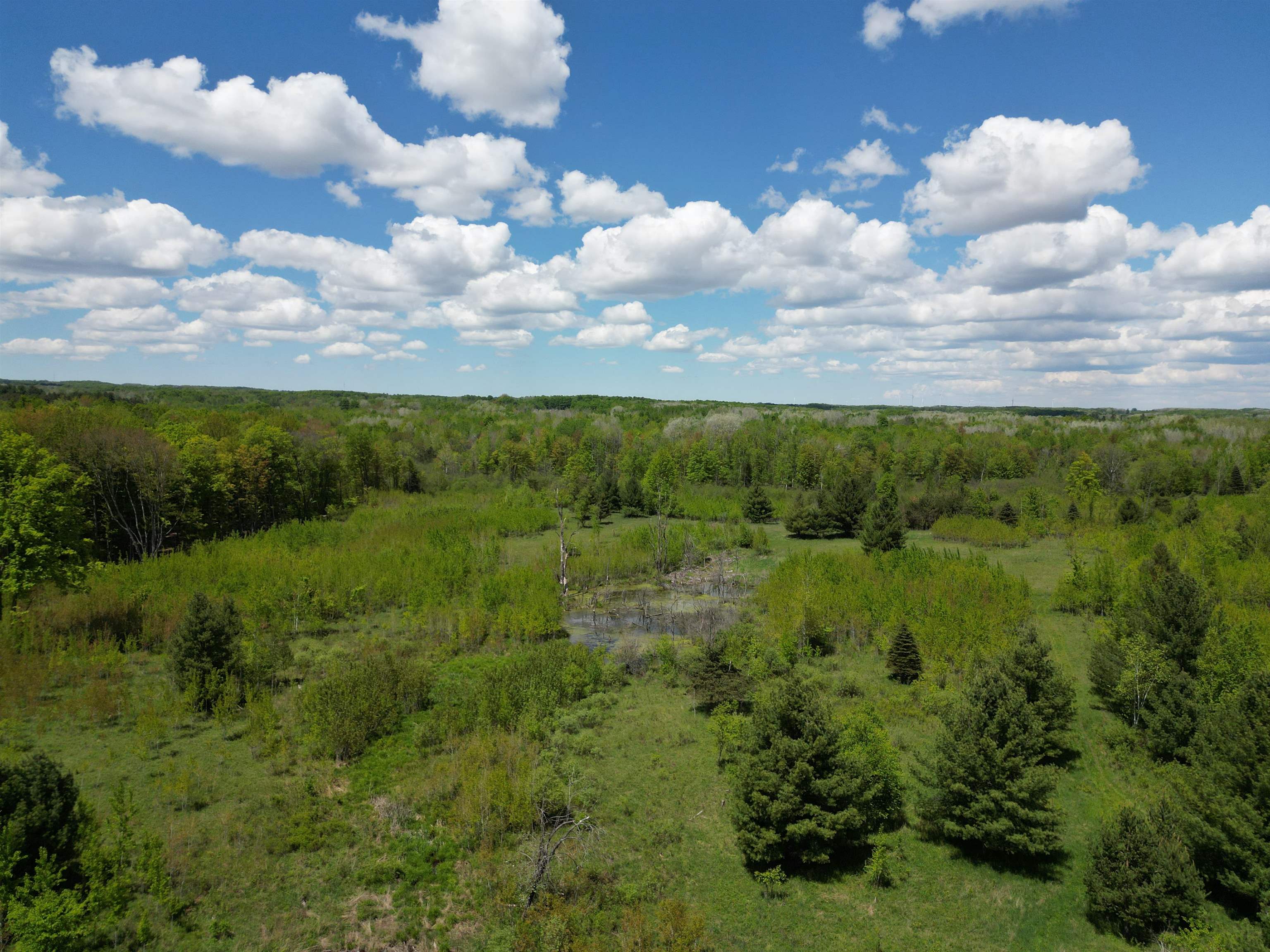 19 Mile Road Kingsley, MI 49649 - Photo 15 of 30