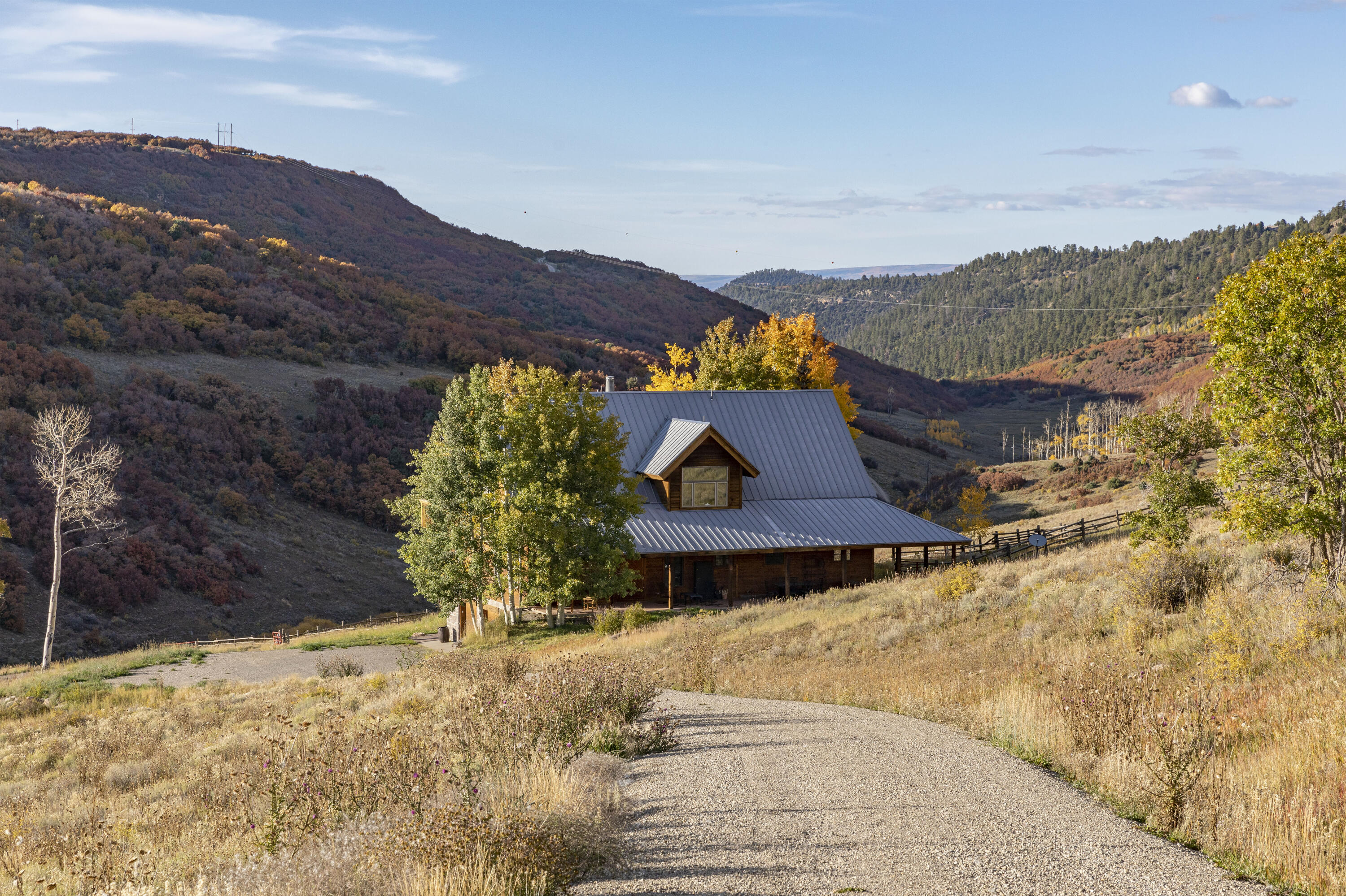 5109 County Road Placerville, CO 81430 - Photo 13 of 13 a view of a house with a yard