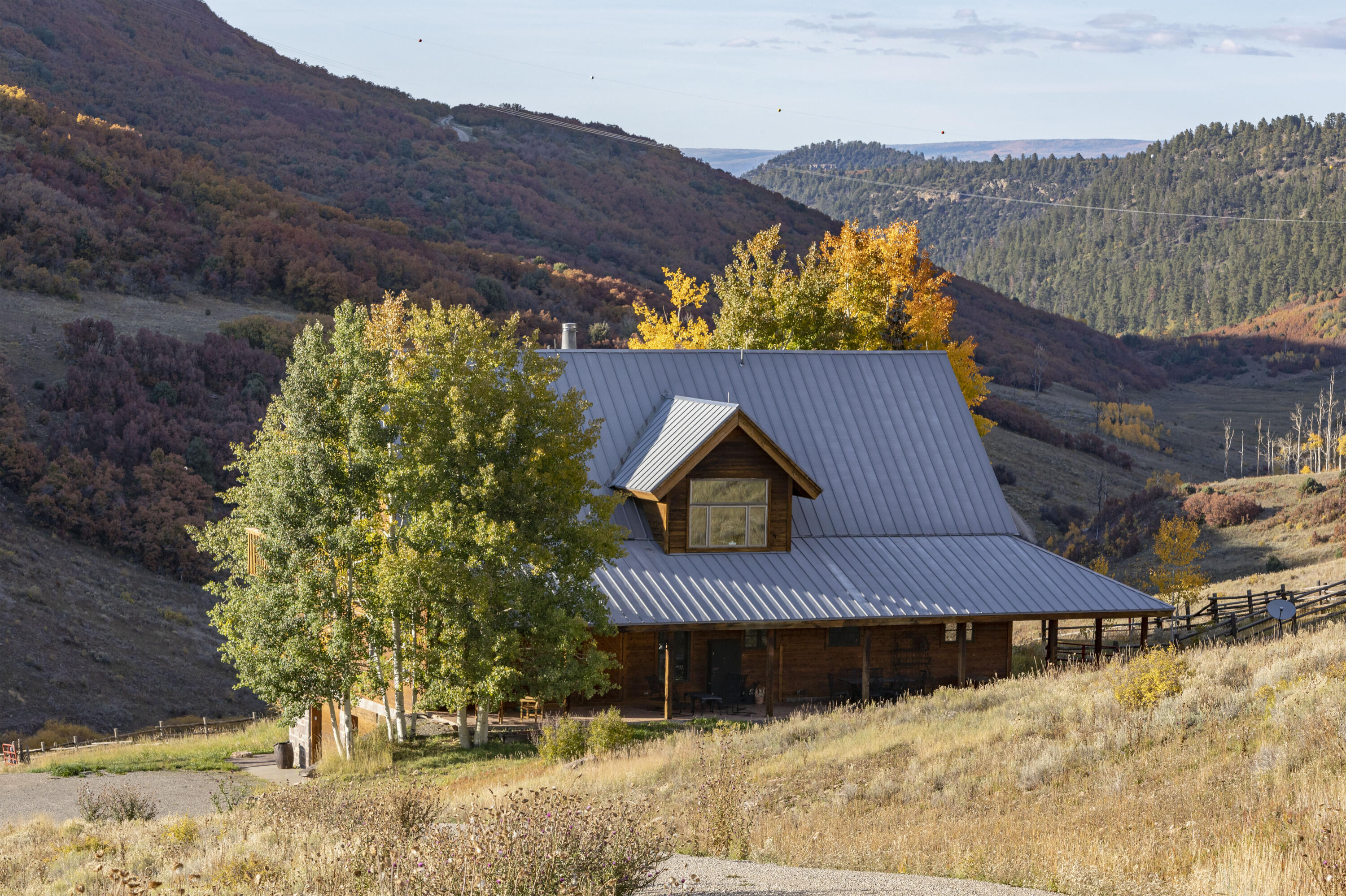 5109 County Road Placerville, CO 81430 - Photo 3 of 13 a view of a house with a yard