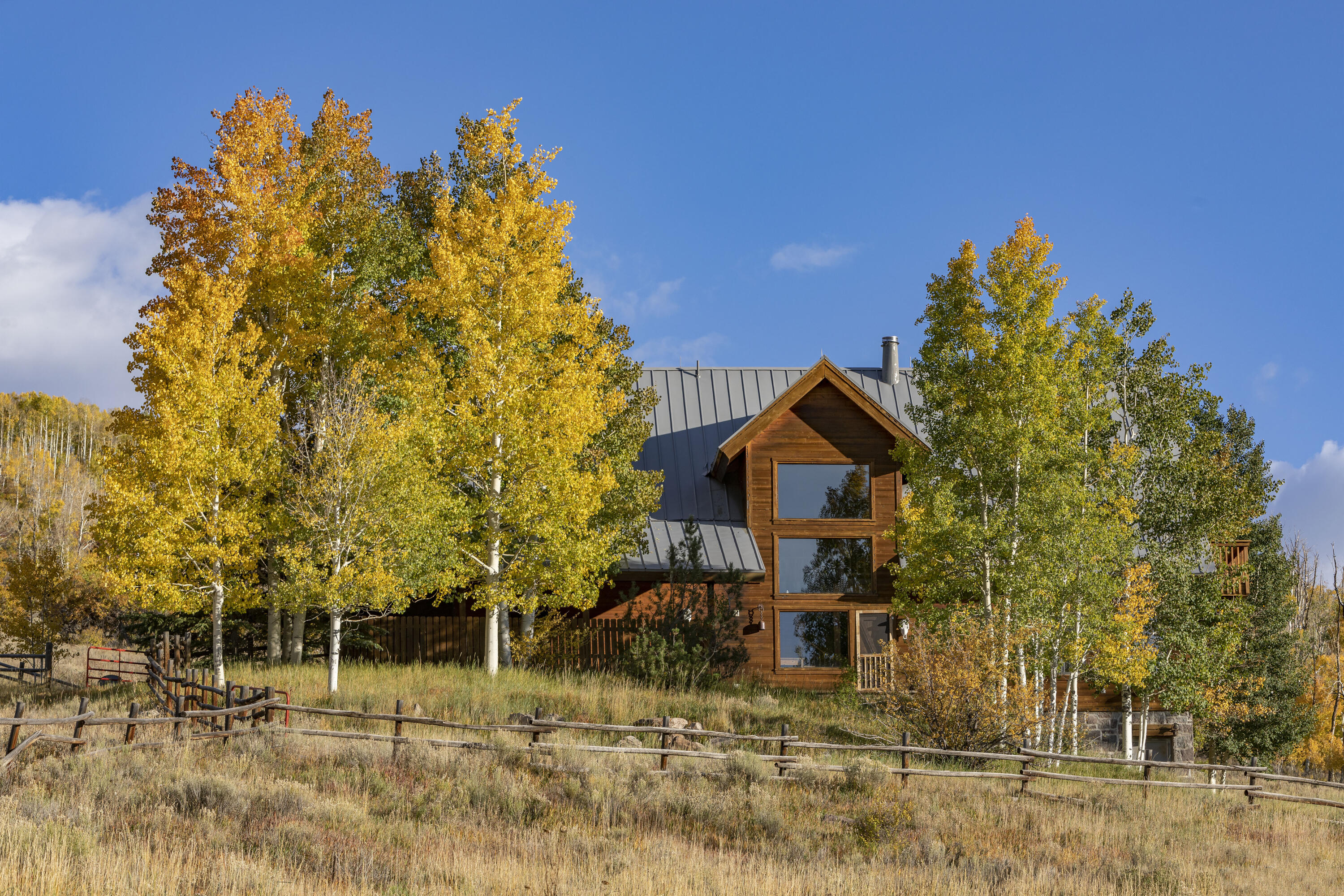 5109 County Road Placerville, CO 81430 - Photo 5 of 13 front view of a house with a tree