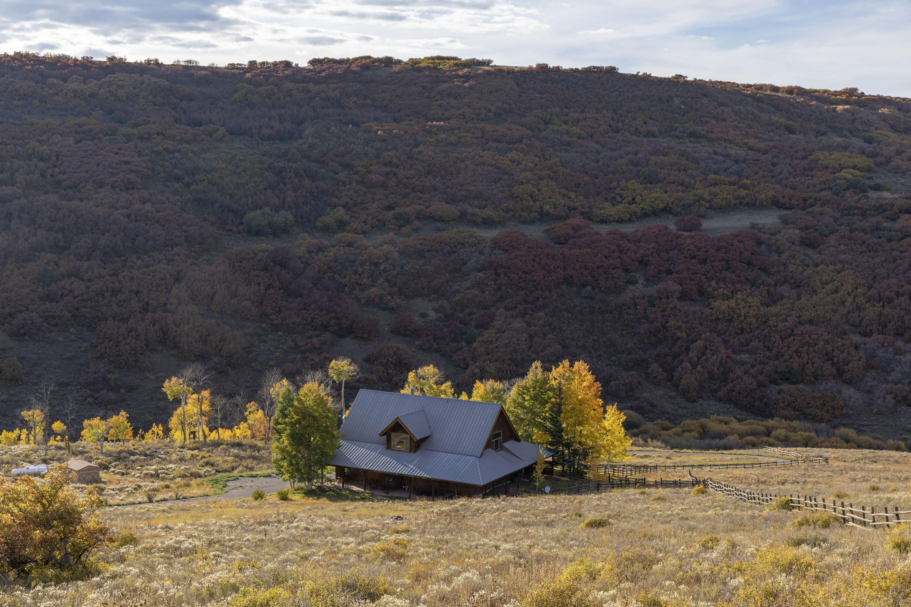 5109 County Road Placerville, CO 81430 - Photo 10 of 13 a view of a house with a yard