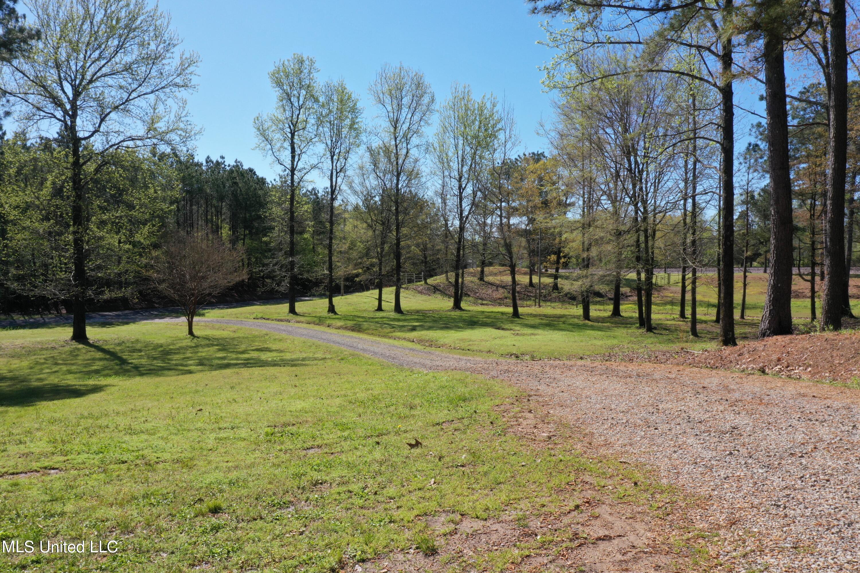 207 Skating Rink Road Red Banks, MS 38661 - Photo 5 of 36 DJI_0625