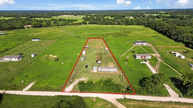 a view of a big yard with potted plants and large tree