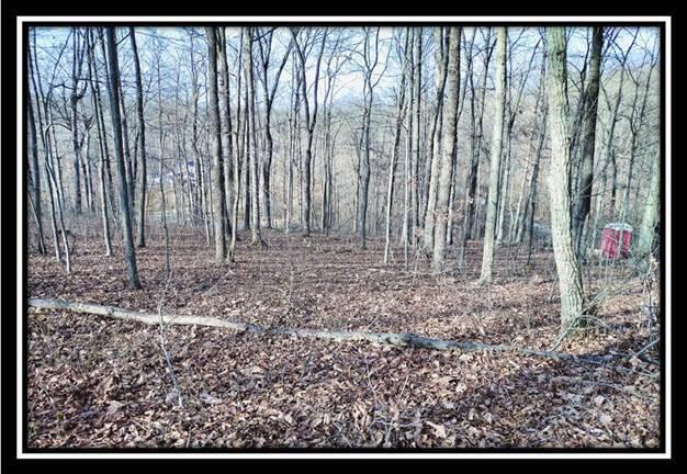 0 Raysville Road, Unit TRACT 2) Jackson, OH 45640 - Photo 31 of 36 image031