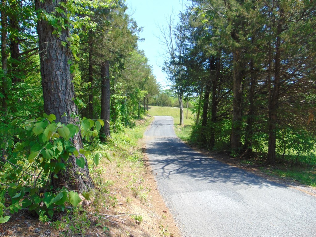 468 Co Road Englewood, TN 37329 - Photo 4 of 33