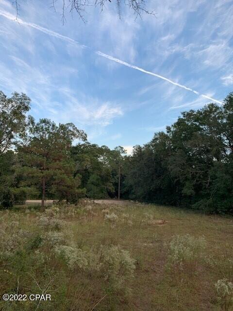 605 Mine Road Midway, FL 32343 - Photo 16 of 17 Gallery Image 16