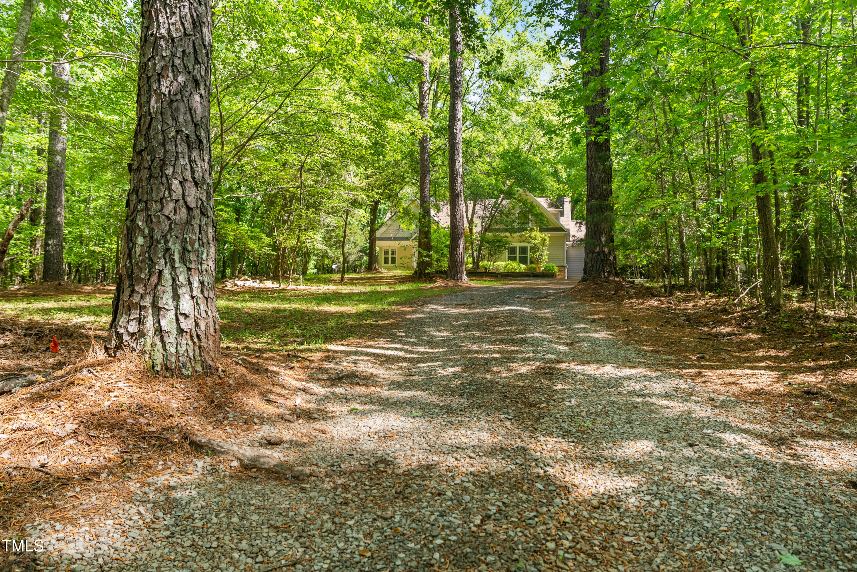2819 Ellis Chapel Road Bahama, NC 27503 - Photo 20 of 22 a view of a field with trees in the background